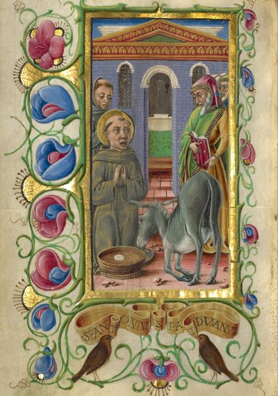 Saint Antoine de Padoue - Taddeo Crivelli